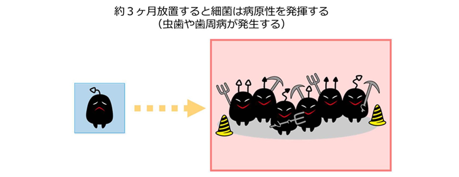 約3か月放置すると最近は病原性を発揮する